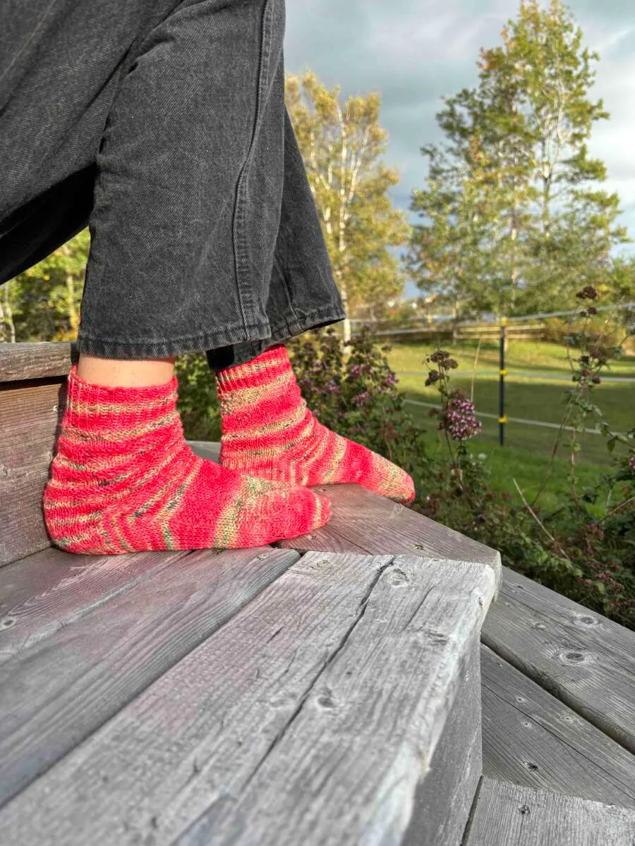 handmaiden-watermelon-wedge-socks-patron-chaussettes-past-que image 1