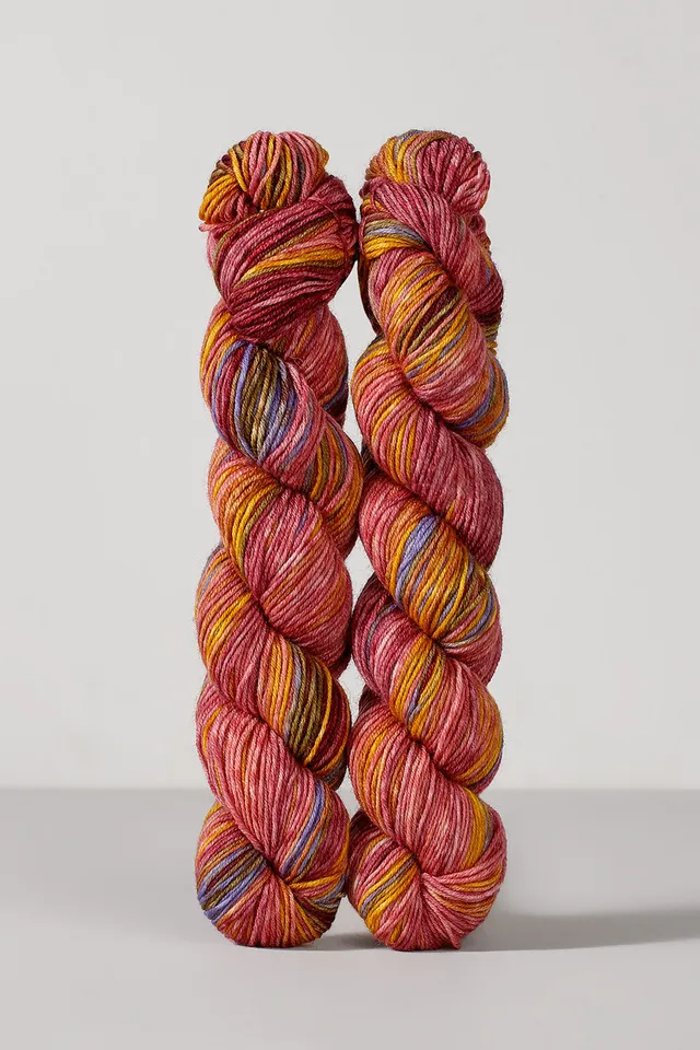 gusto-wool-echoes-fingering-1514-laine-ombr-e-lot-de-5 image 1