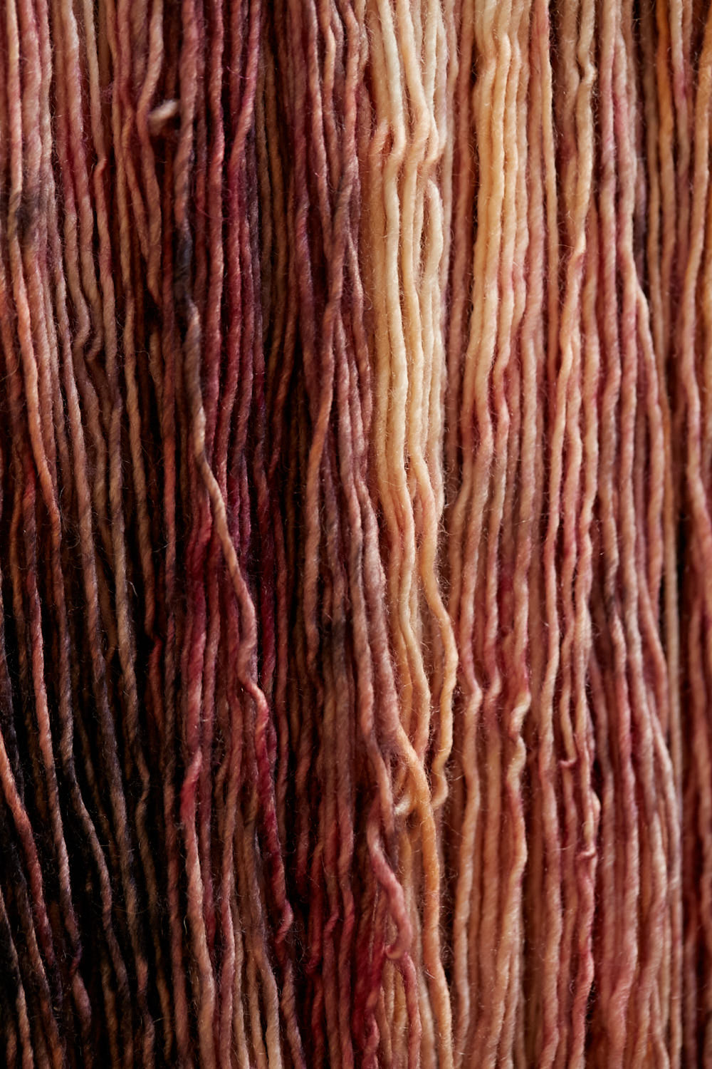 gusto-wool-olio-2303-fil-tricoter-merinos-lot-de-5 image 2