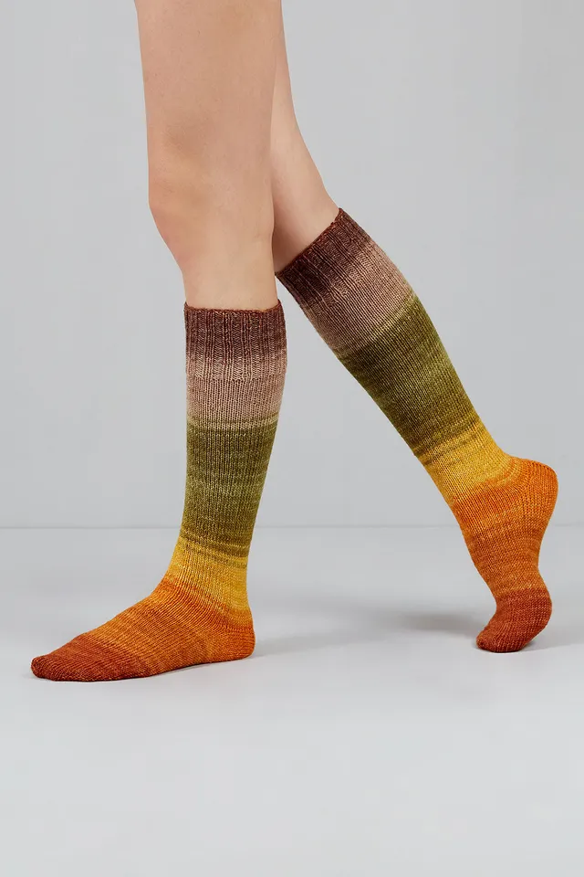 gusto-wool-mahalle-sock-kit-chaussettes-echoes-1501 image 1