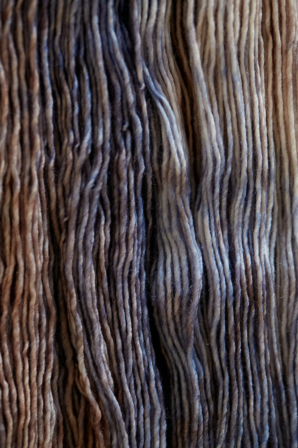 gusto-wool-olio-fil-laine-2308-lot-de-5-vari image 2